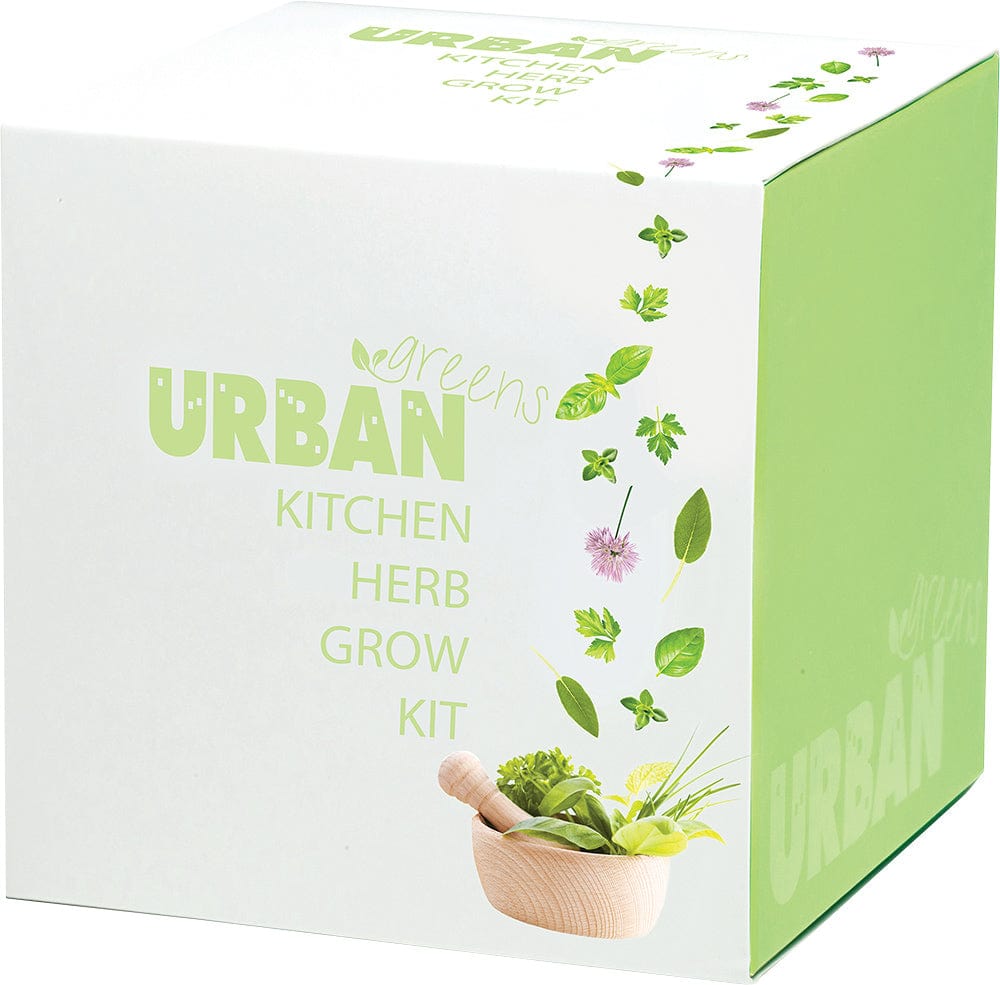 Urban Greens Grow Kit - Kitchen Herbs